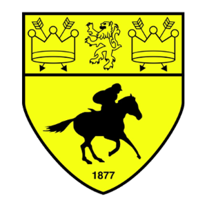 Newmarket Town&rsquo;s club badge