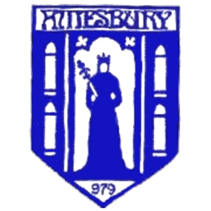 Amesbury Town 3000