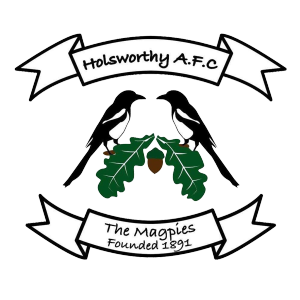 Holsworthy&rsquo;s club badge