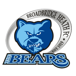 Broadbridge Heath&rsquo;s club badge